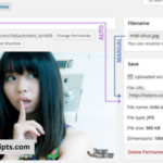 TNC FlipBook v12.1.0 – PDF viewer for WordPress